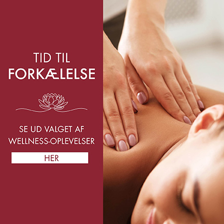 Wellness