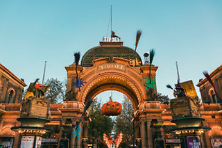 TIVOLI WILD CARD