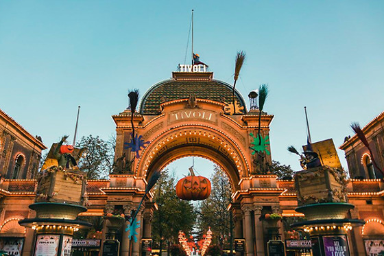 TIVOLI WILD CARD