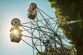TIVOLI WILD CARD