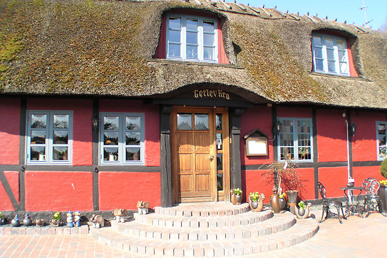 OPHOLD I DANMARK MED VIN