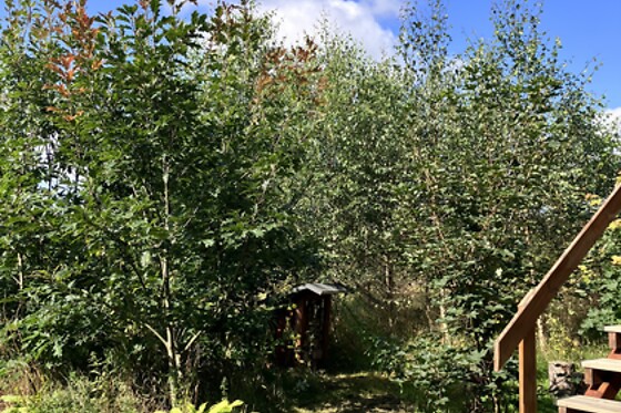 Obitsøminde - photo 3