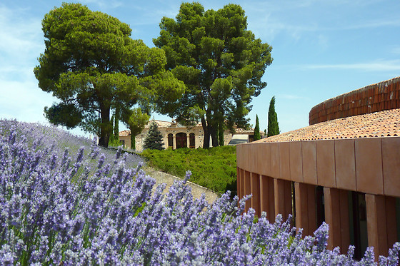 HOTEL CIGARRAL EL BOSQUE - photo 8